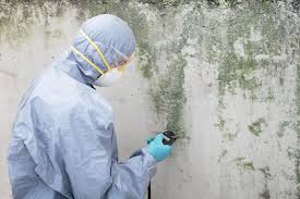 Best Comprehensive Air Testing for Mold Contaminants in La Vernia, TX